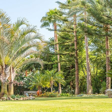 The Grand Oasis Estepona Marbella Zewnętrze zdjęcie